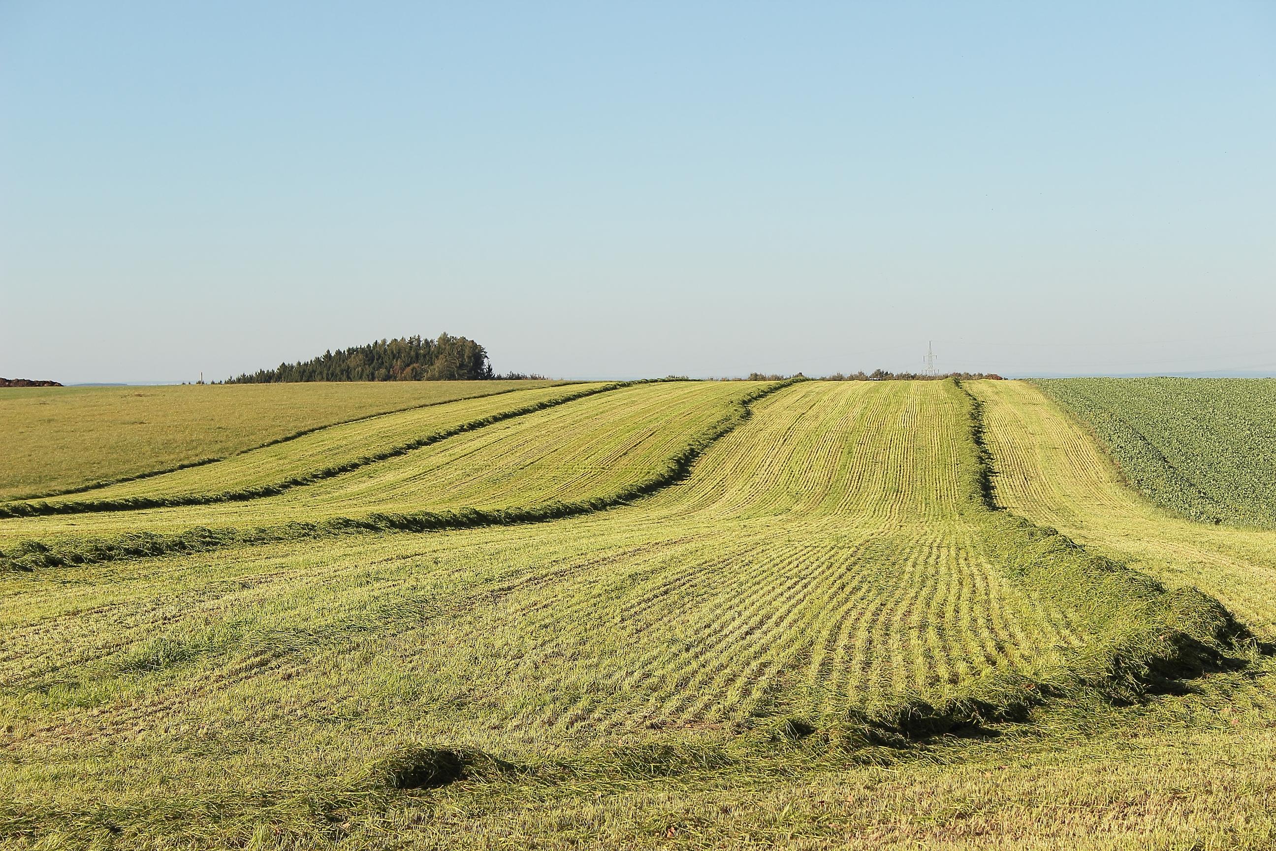 Landscape, Agriculture, Meadow image